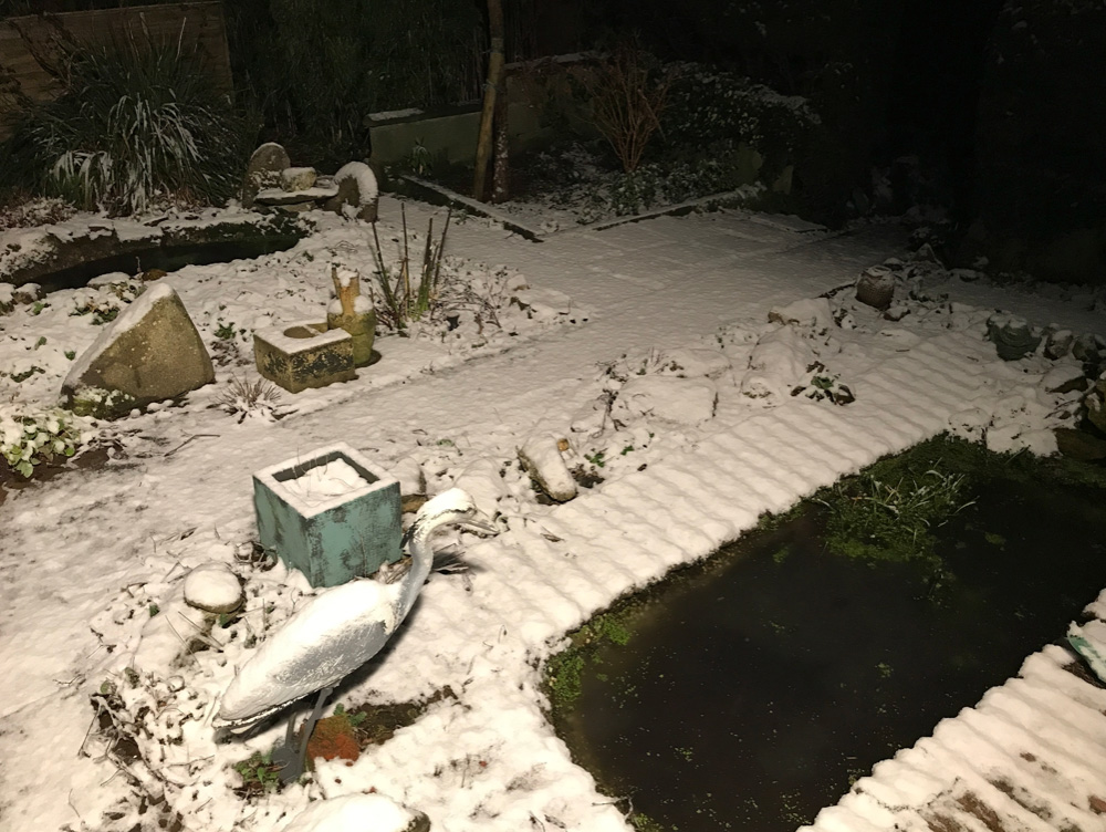 it snowed 2021 1