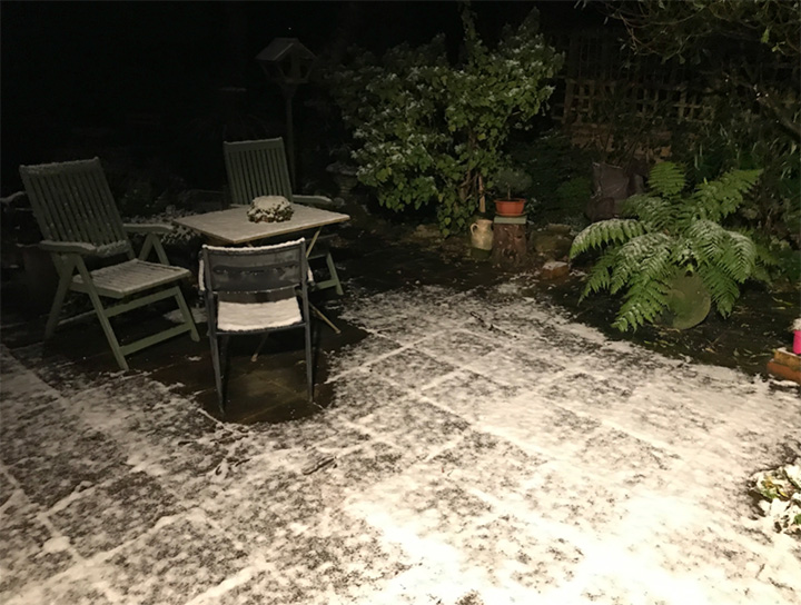it snowed 2021 2
