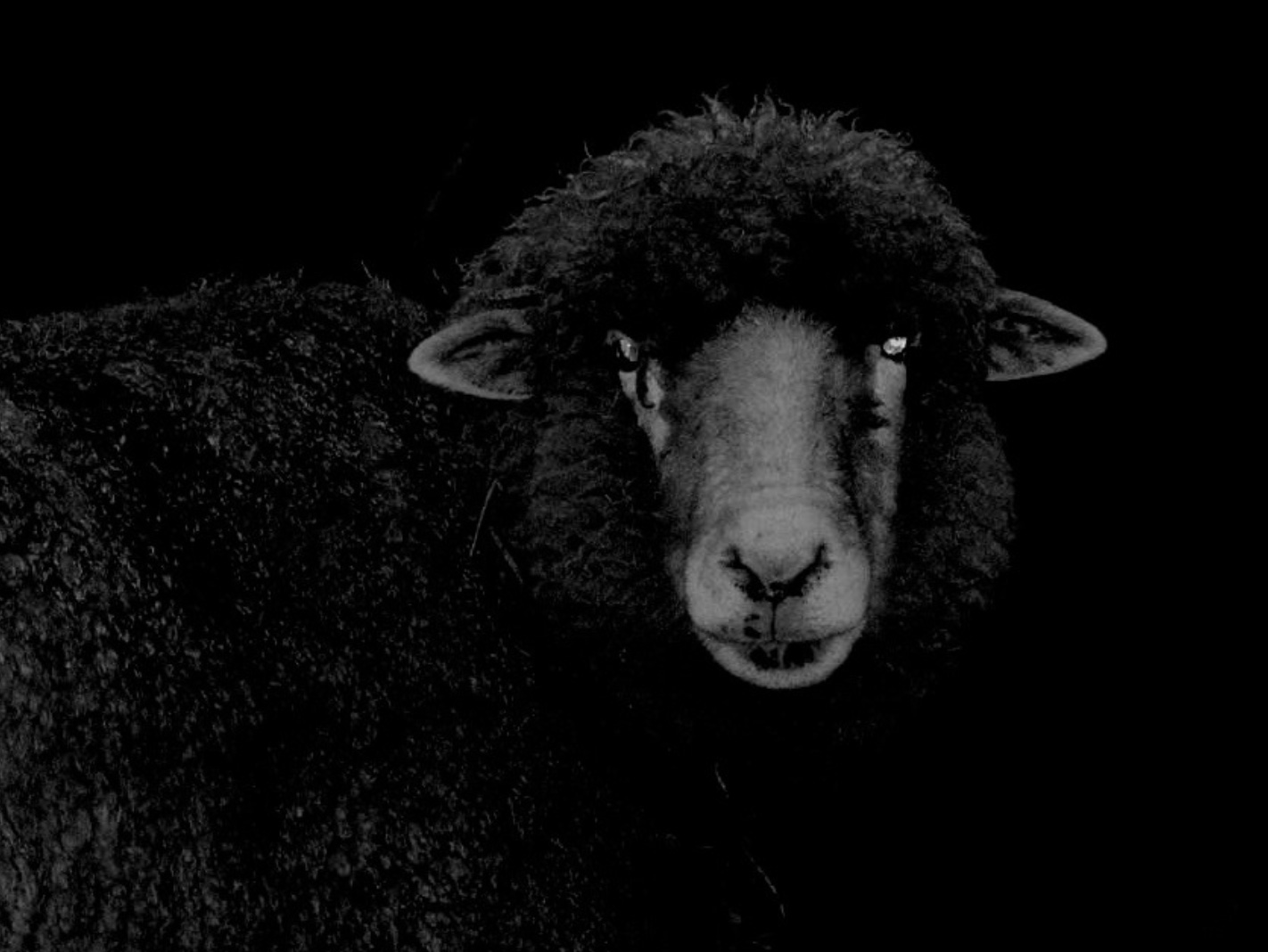 mary lamb 2021
